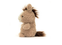Little Horse