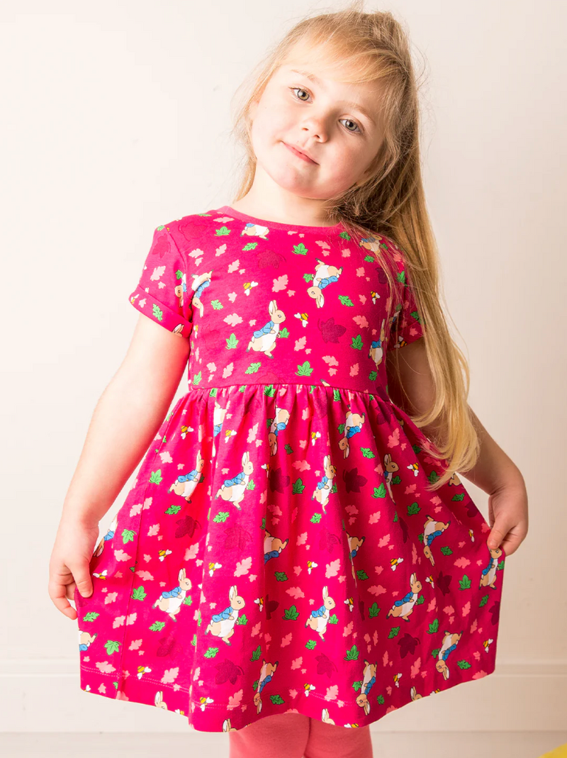 Peter Rabbit Autumn Leaf Dress