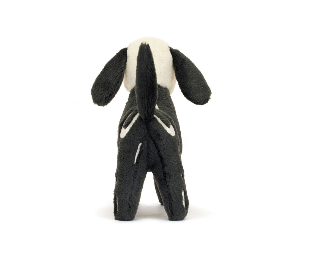 Skeledog Dan