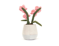 Amuseables Pink Orchid - max 1 per customer
