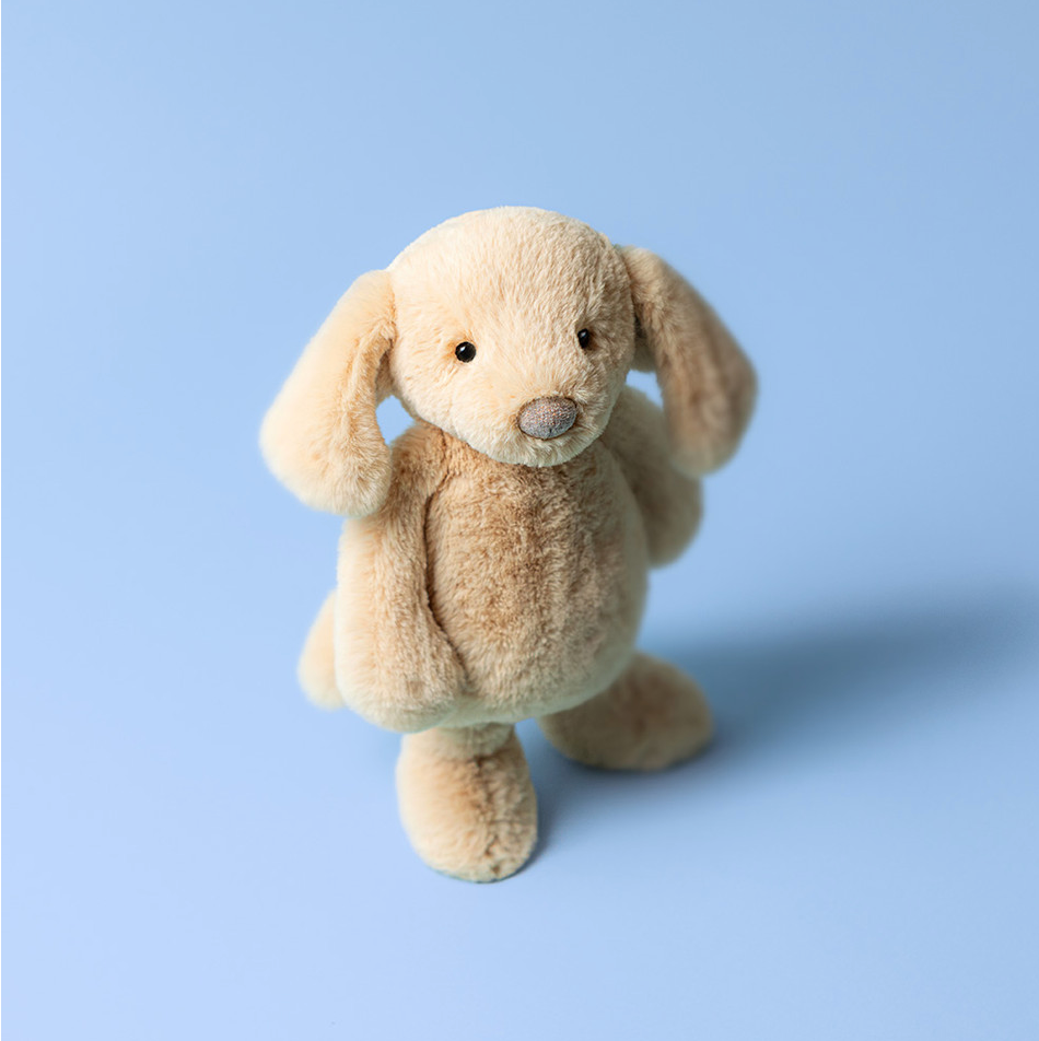 Bashful Luxe Puppy Orlando - max 1 per customer