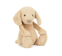 Bashful Luxe Puppy Orlando - max 1 per customer