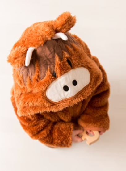 Hamish Hoodie