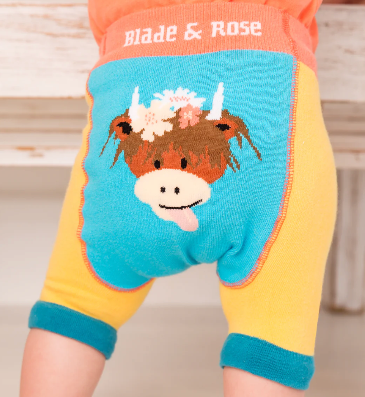 Bonnie Highland Cow Knitted Shorts