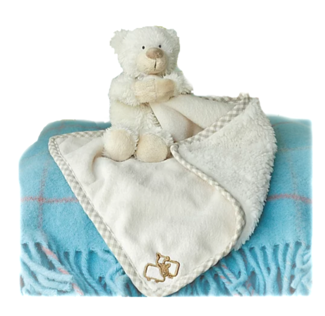 Bear Toy Soother