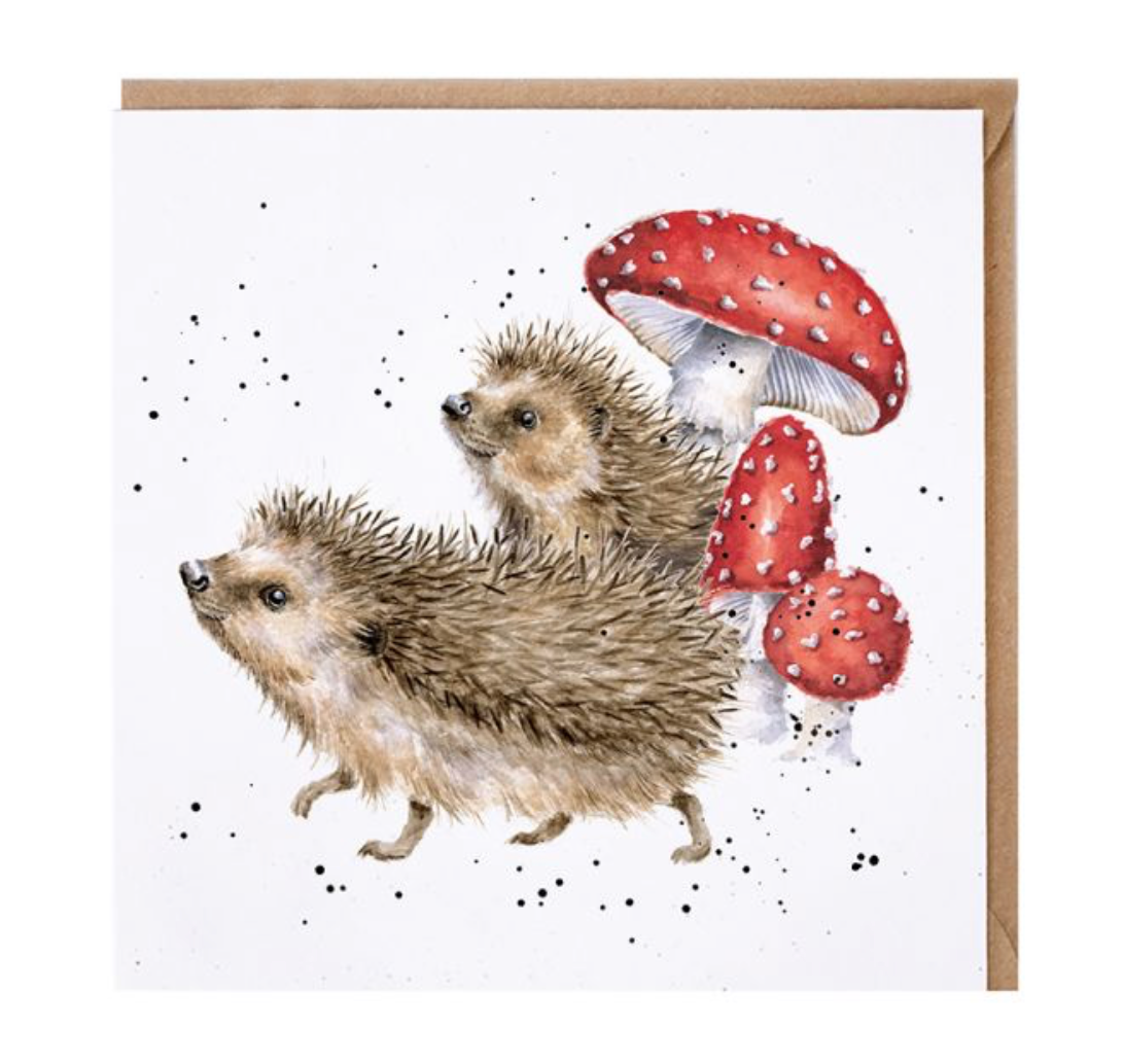 Wrendale A Prickly Adventure Card