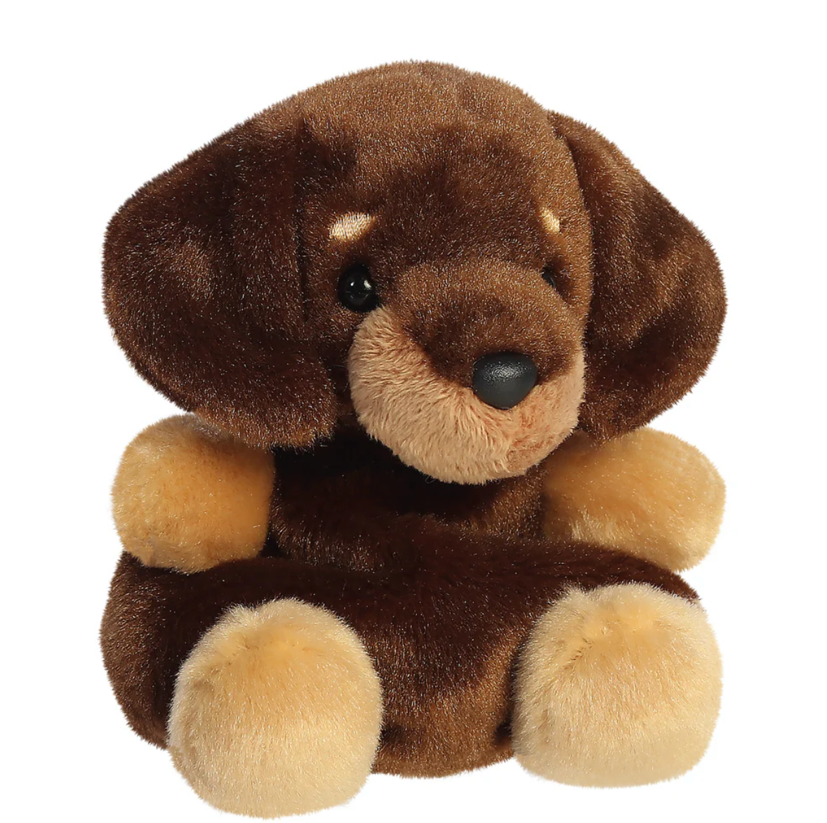 Palm Pals Houdini Dachshund