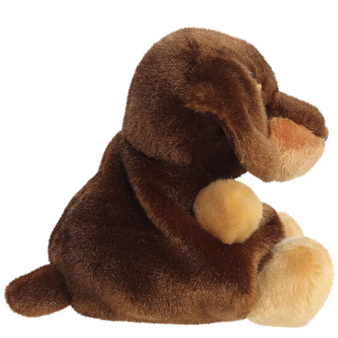 Palm Pals Houdini Dachshund