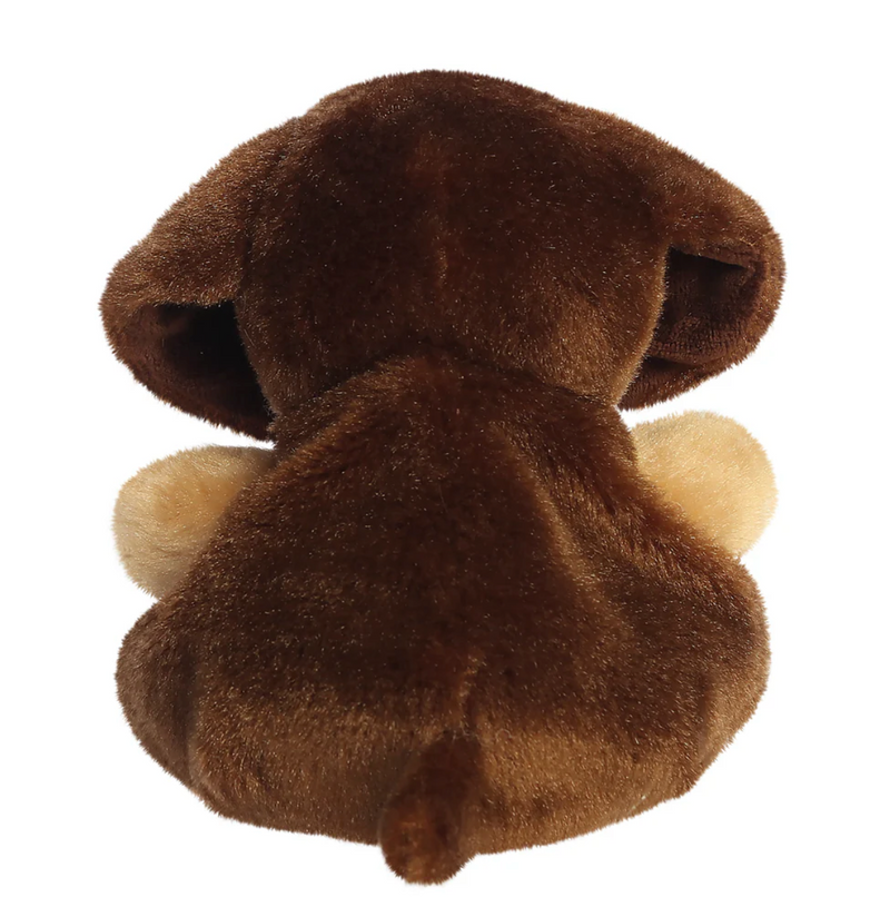 Palm Pals Houdini Dachshund
