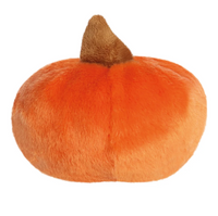Palm Pals Paisley Pumpkin