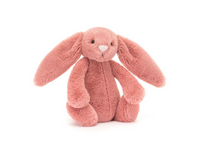Bashful Sorrel Bunny