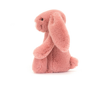 Bashful Sorrel Bunny