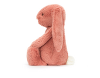 Bashful Sorrel Bunny