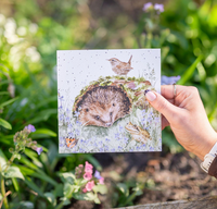 Wrendale Hedgehog "The Wild Patch" Card