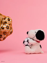 Snoopy Soccer