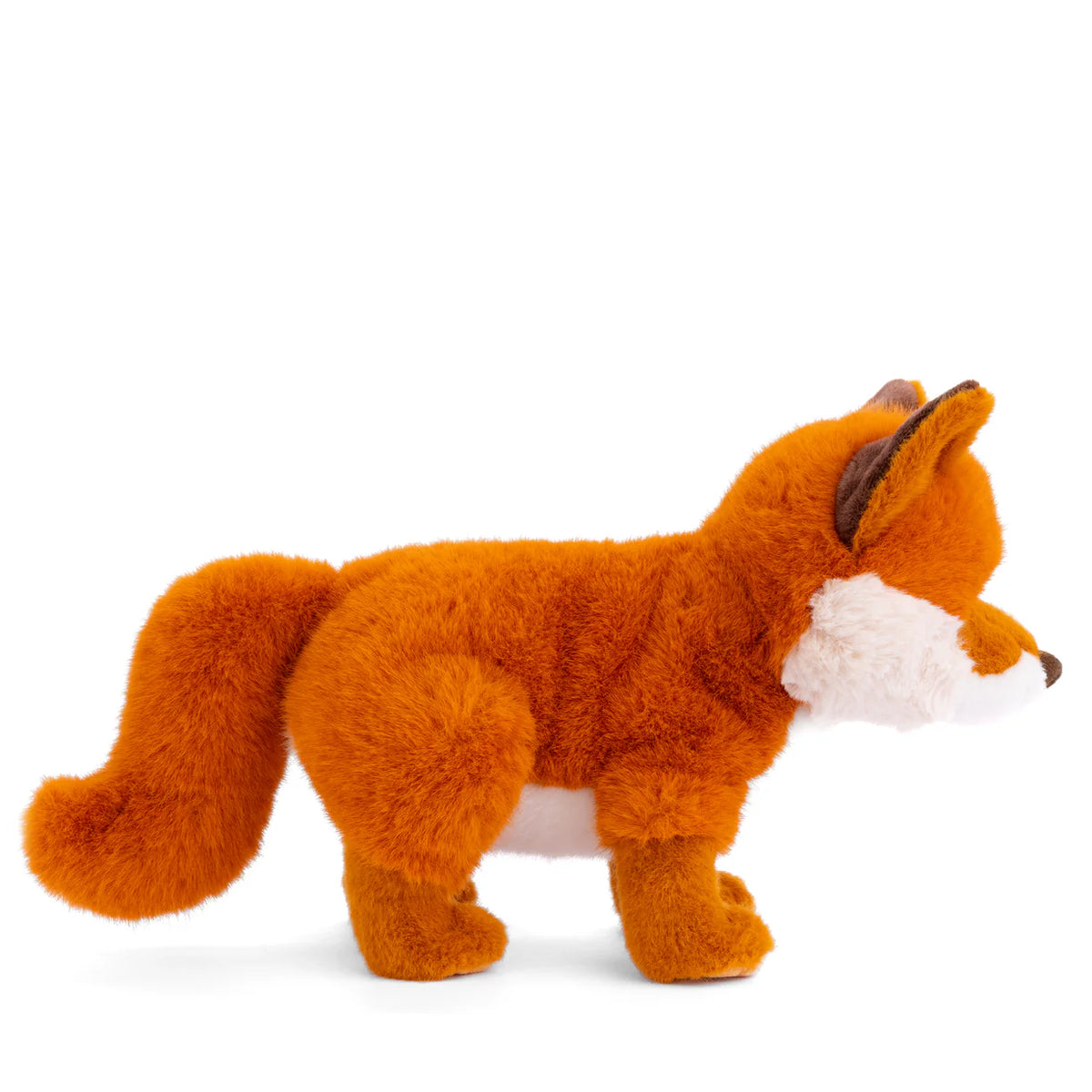 Bukowski Sweet Clever Fox