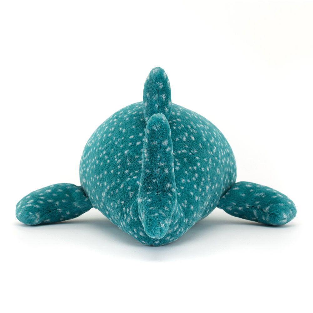 Gobfrey Whale Shark One Per Person