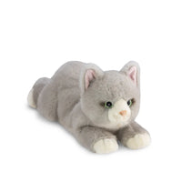 Borealis Grayson Cat