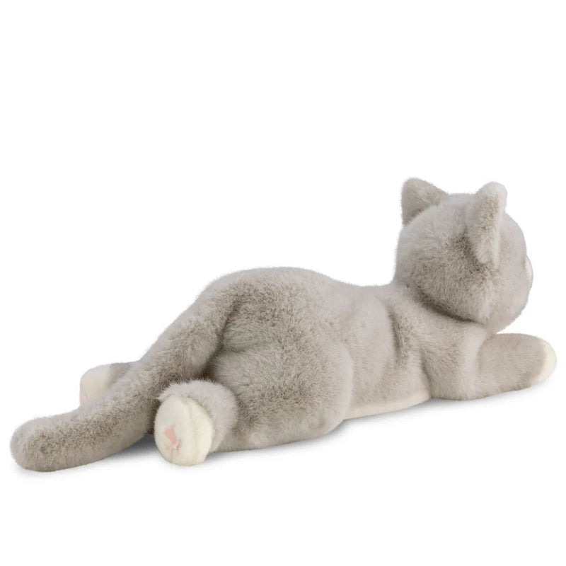 Borealis Grayson Cat