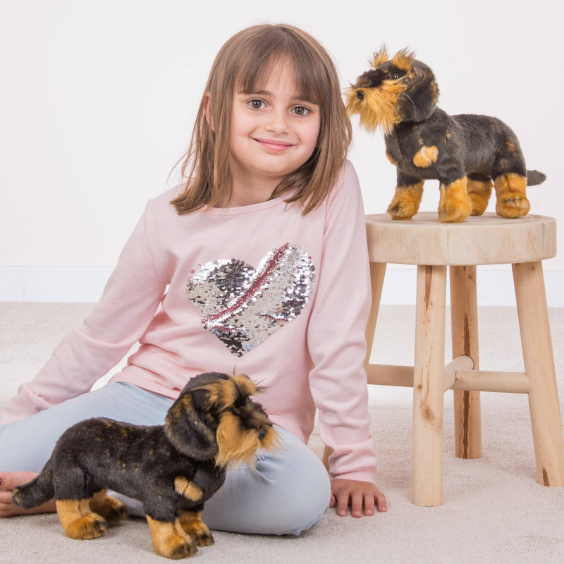 Wire-haired dachshund standing 28 cm - plush toy - soft toy