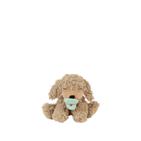 Binky Puppy Benny
