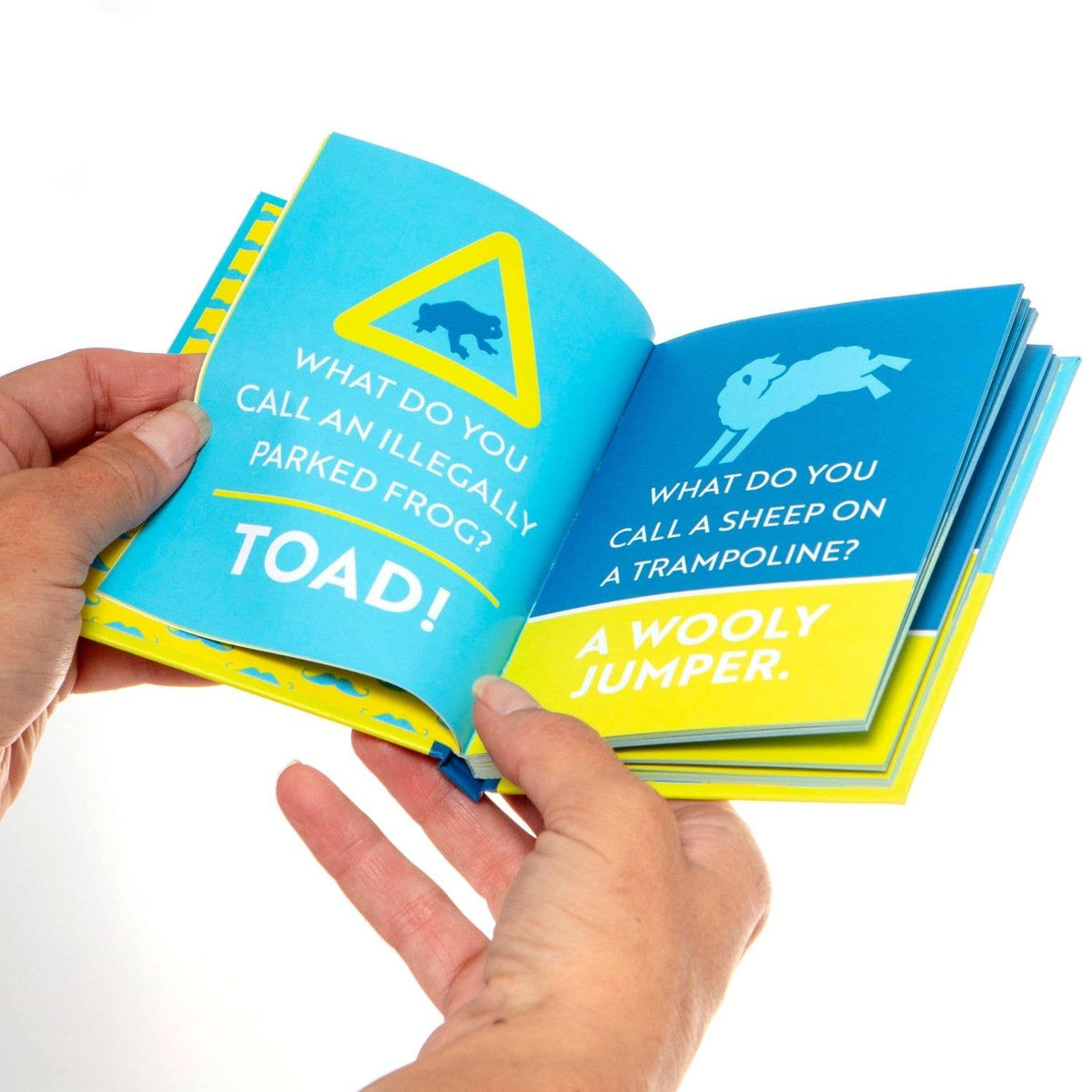 Dad Jokes For Embarrassing Dads Book - Men's Gifts