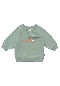 Sweatshirt in reed with "Dachshund" print