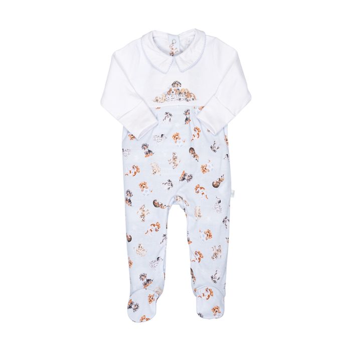 Little Paws Dog Printed Babygrow