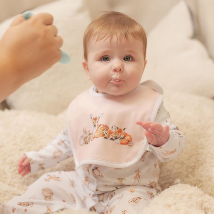 Little Forest Woodland Animal Bib Gift Set