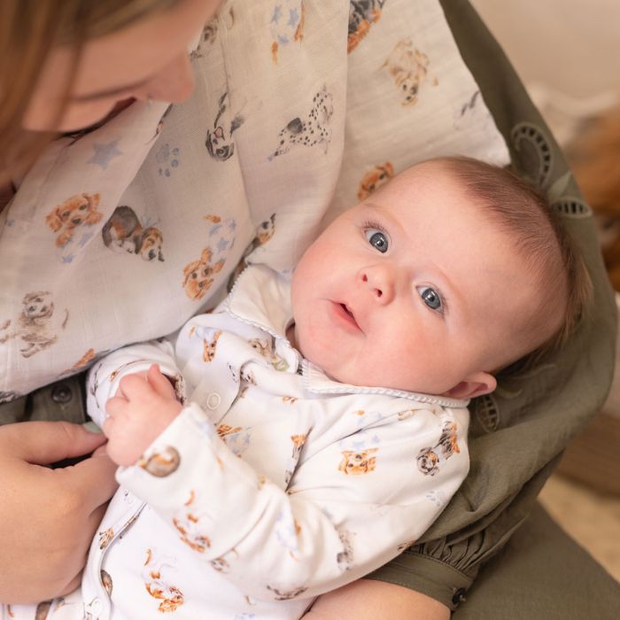 Little Paws' Dog Muslin Gift Set