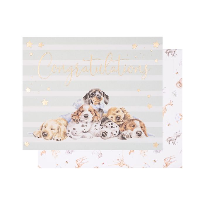 Wrendale Little Paws Congratulations Card