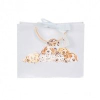 Little Paws' Dog Gift Bag