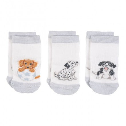 Little Paws Animal Baby Socks Set