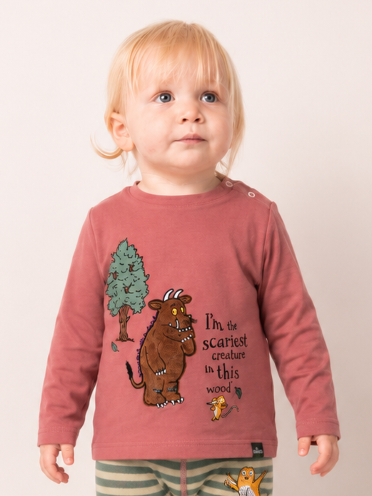Gruffalo Outdoor to Explore Top