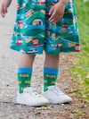 Kite Dino/campervan Socks