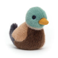 Birdling Mallard max 1 per customer