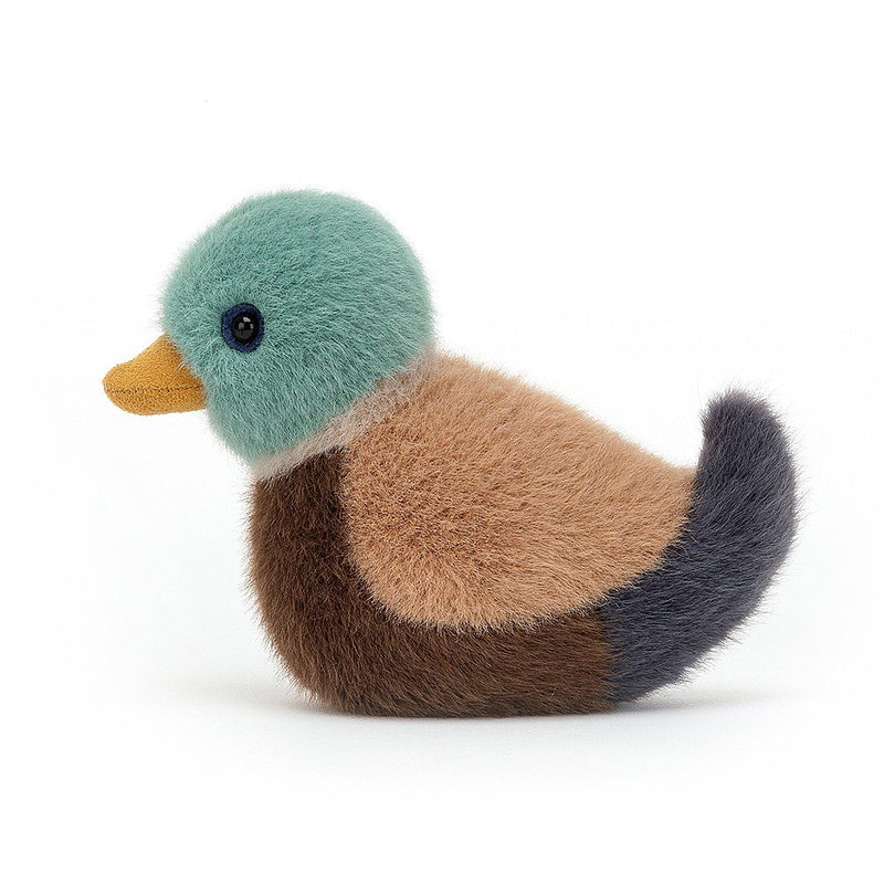 Birdling Mallard max 1 per customer