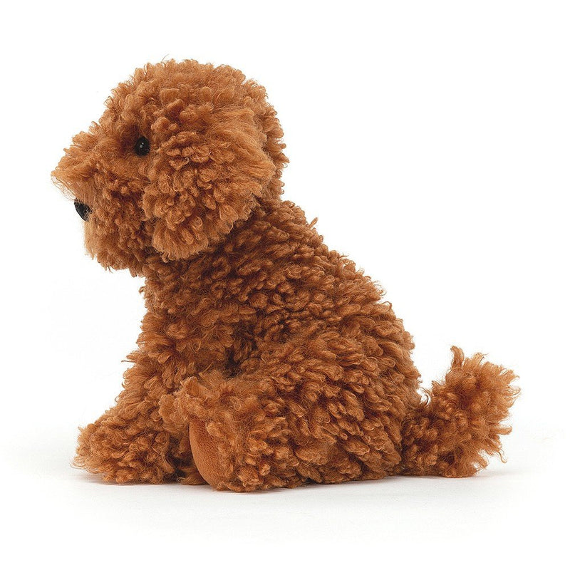 Cooper Labradoodle Pup max 1 per customer