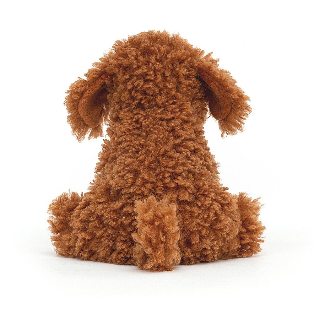 Cooper Labradoodle Pup max 1 per customer