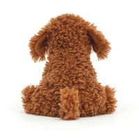 Cooper Labradoodle Pup max 1 per customer