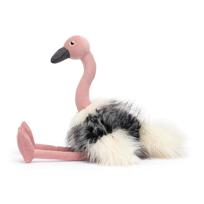 Romonda Ostrich