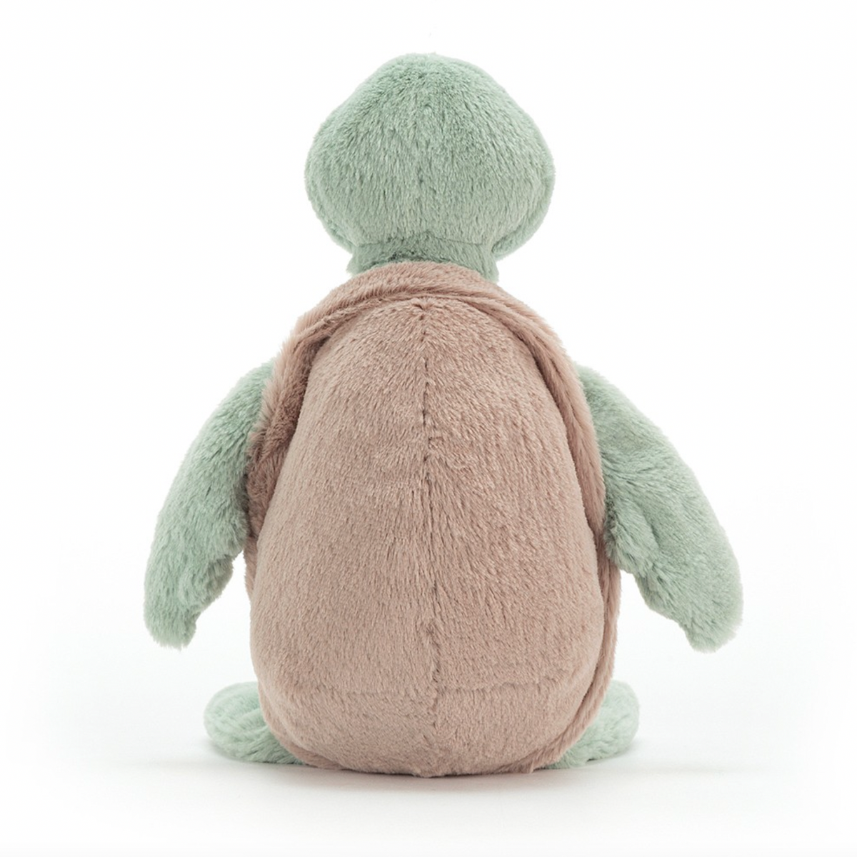 Bashful Turtle