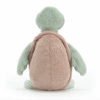 Bashful Turtle
