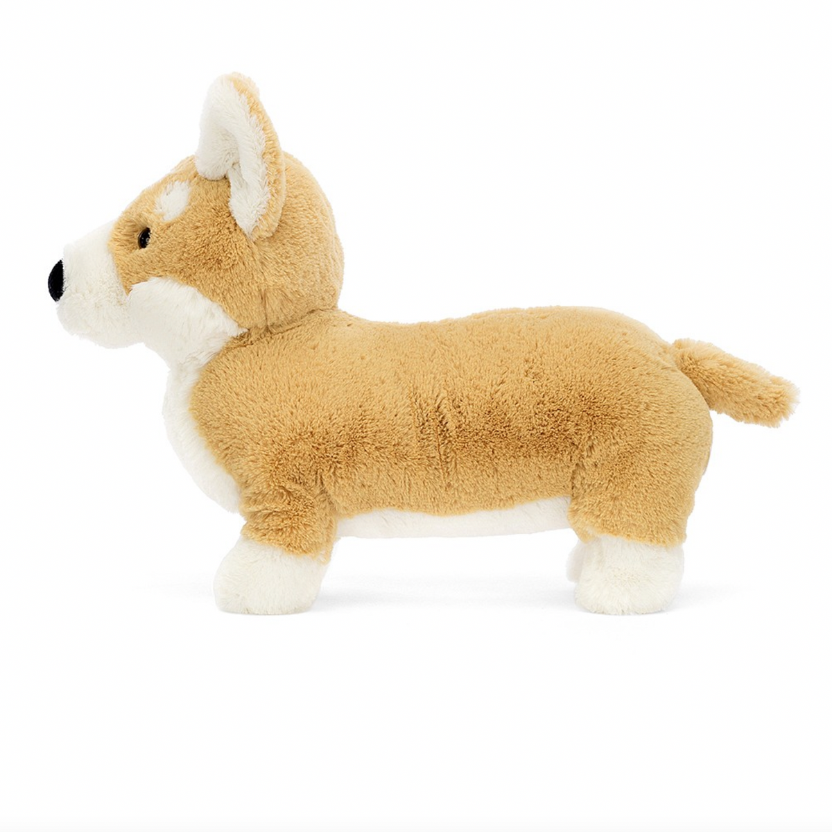 Betty Corgi