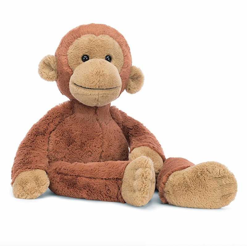 Pongo Orangutan