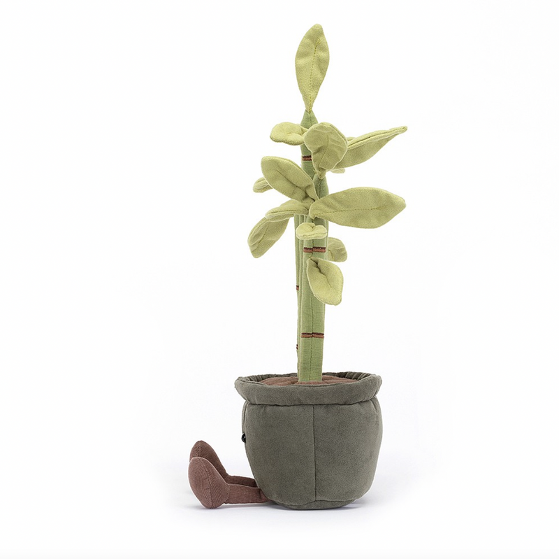 Amuseable Potted Bamboo