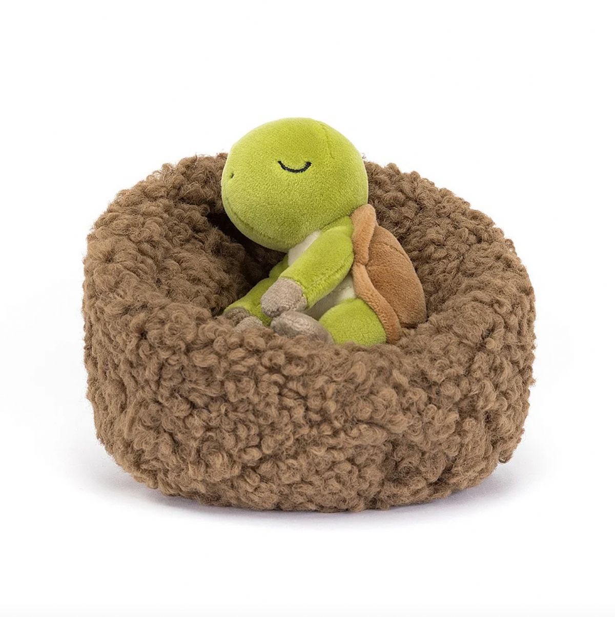 Hibernating Tortoise