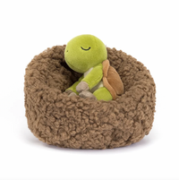Hibernating Tortoise