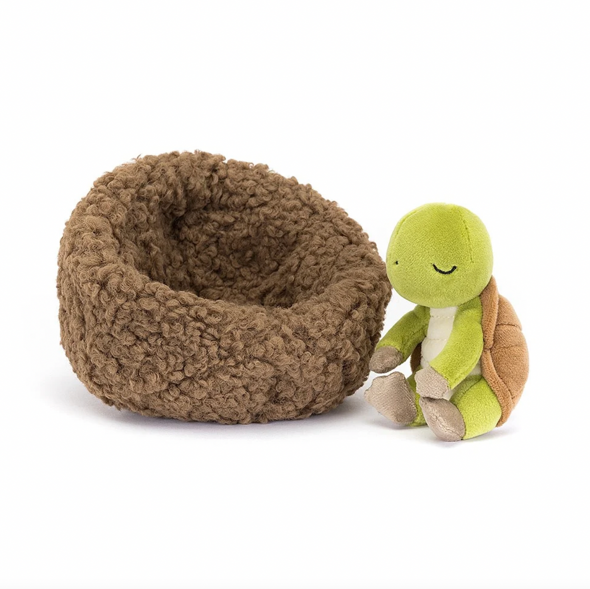 Hibernating Tortoise