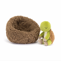 Hibernating Tortoise